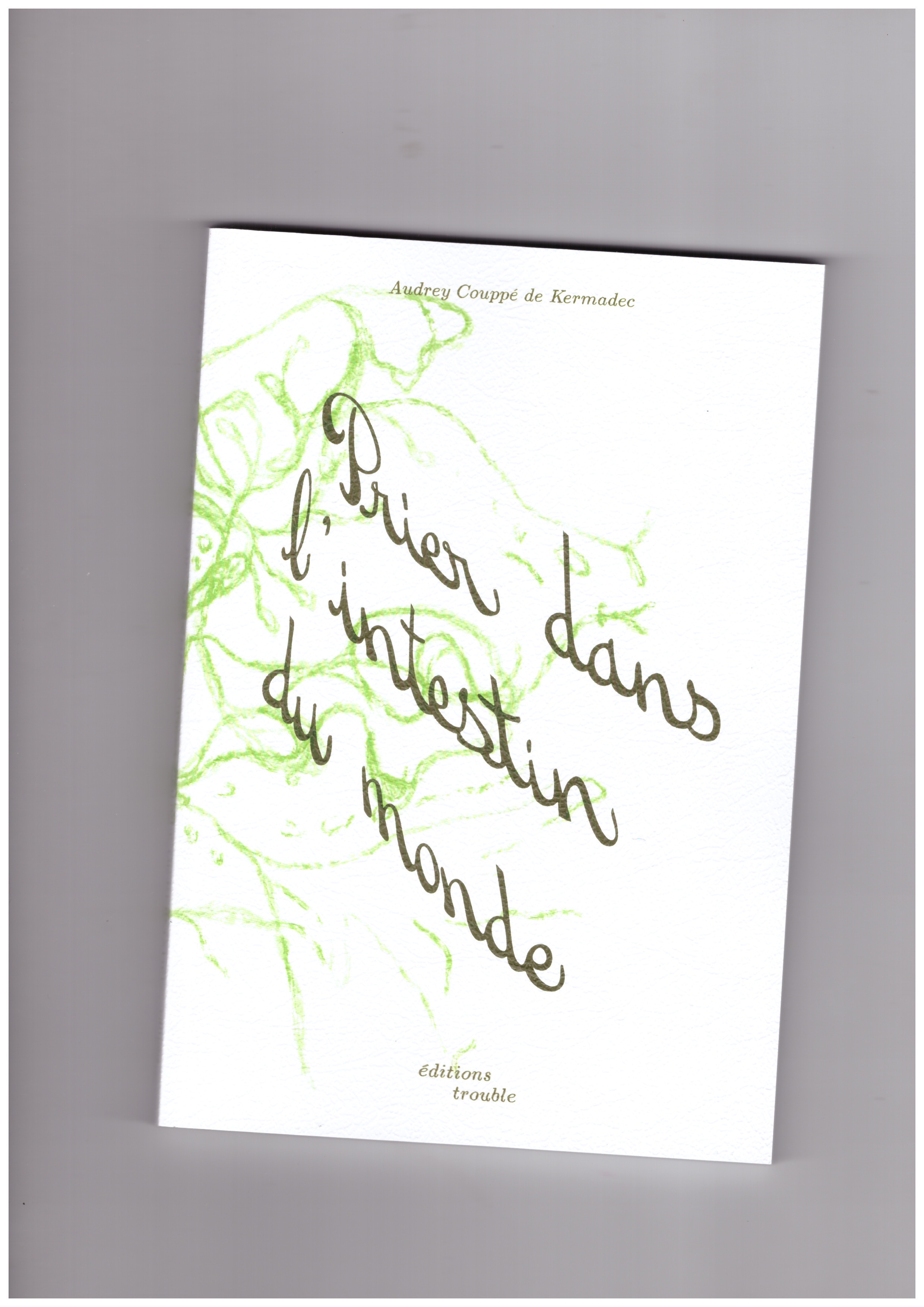 COUPPÉ DE KERMADEC, Audrey - Prier dans l’intestin du monde